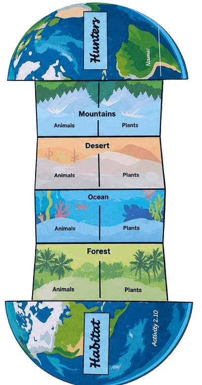 Earth Habitat Accordion